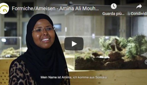 Formiche/Ameisen - Amina Ali Mouhamoud (Voltaire European Education Centre)